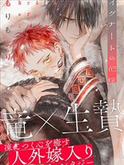 恰似寒光遇骄阳漫画 第四幕 换景 剧情卡片